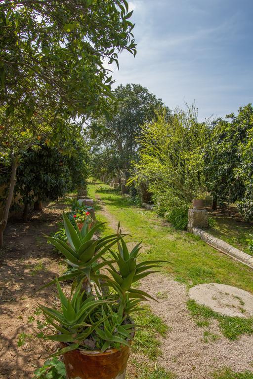B&B Villa Spada Donadeo Lequile Ngoại thất bức ảnh